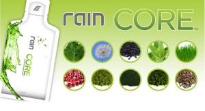 A Rain Core összetevői